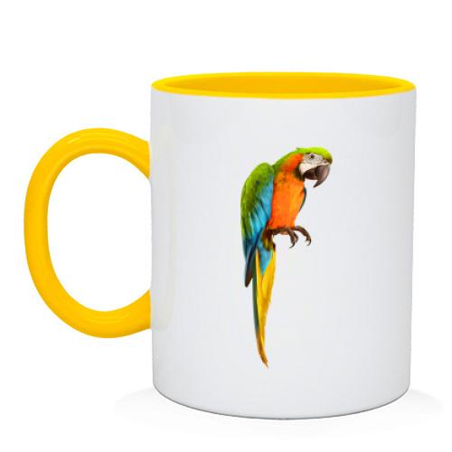 Чашка с попугаем (1)