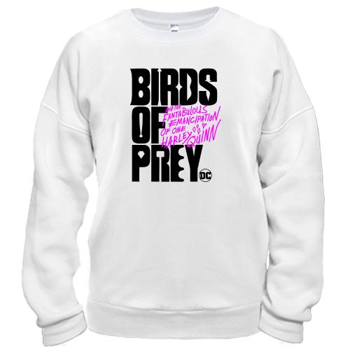 Свитшот Birds of Prey DC