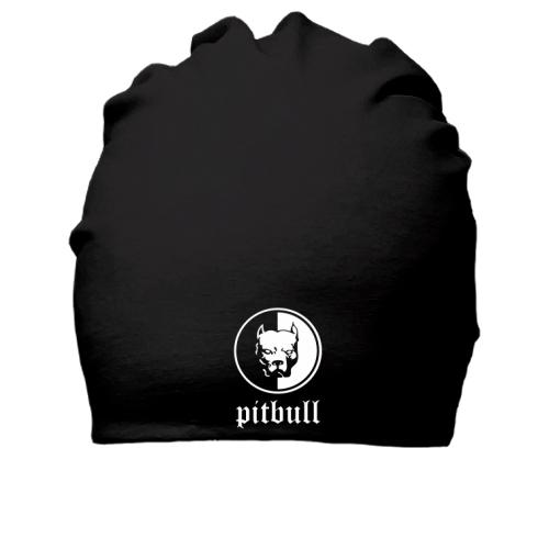 Хлопковая шапка Pitbull (2)