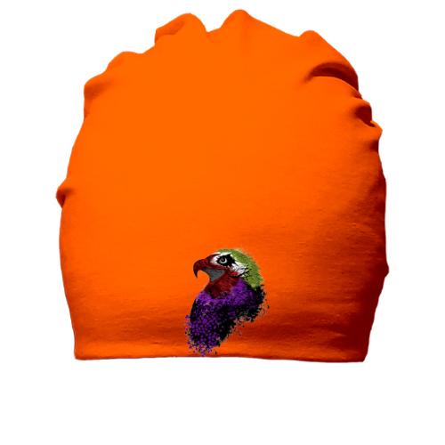 Хлопковая шапка со стилизованным попугаем