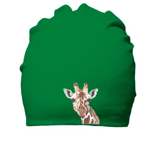 Хлопковая шапка с жирафом