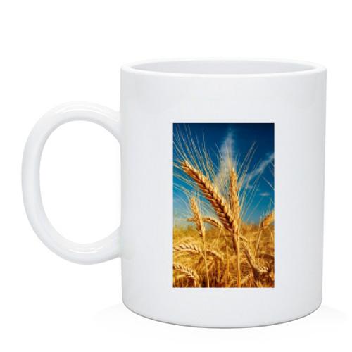 Чашка Колоски в поле