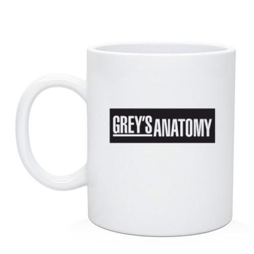 Чашка анатомія Грей