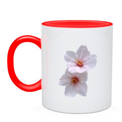 Чашка с белыми цветами (3)