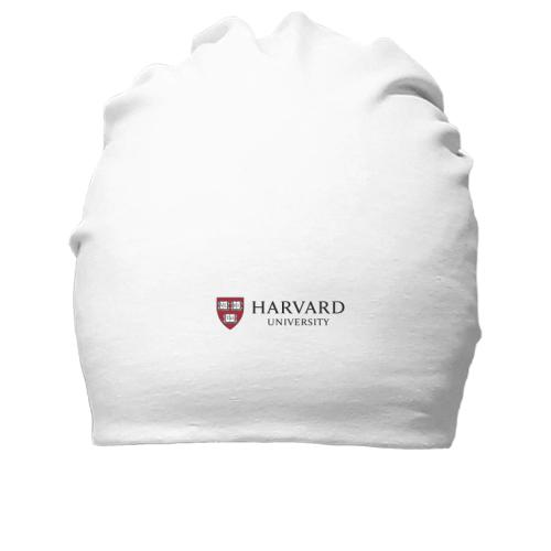 Хлопковая шапка Harvard University