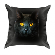 3D подушка с черным котом