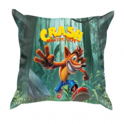 3D подушка Crash Bandicoot