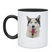 Чашка с собакой хаски