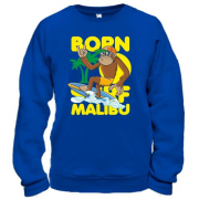 Світшот Born Malibu Monkey