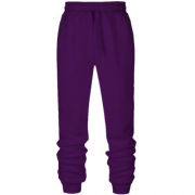 Мужские фиолетовые штаны на флисе "ALLAZY"
