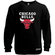 Світшот без начісу Chicago bulls