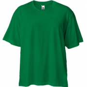 Зеленая футболка двунитка Oversize "ALLAZY"