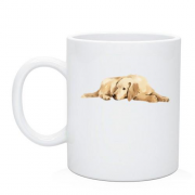 Чашка со ждущим псом