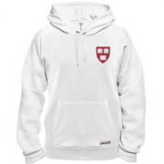 Толстовка Harvard logo mini