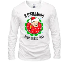 Лонгслів Я в очікуванні новорічного дива