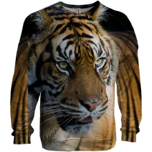 3D світшот Big Tiger