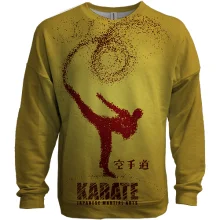 3D свитшот Karate man