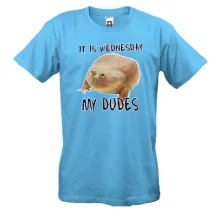 Чоловіча футболка It is wednesday, my dudes