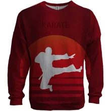 3D свитшот Karate на фоне заката