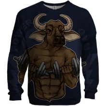3D світшот Power GYM Buffalo