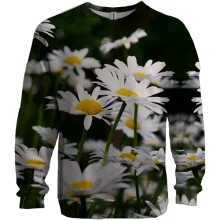 3D свитшот Chamomile pattern