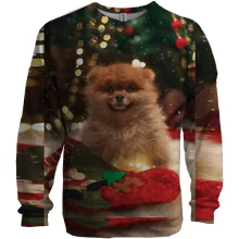 3D свитшот New Year dog 4