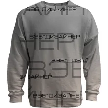 3D світшот "Веб-дизайнер"