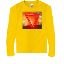 Детский лонгслив Enter Shikari A Flash Flood of Colour