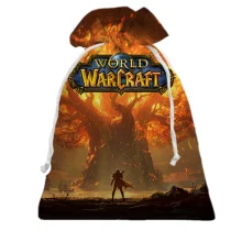 Подарочный мешочек World of Warcraft: Cataclysm