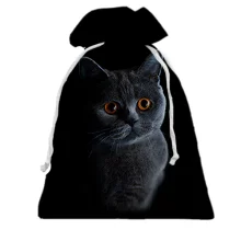 Подарочный мешочек с котом "Британец"