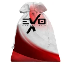 Подарунковий мішечок Mitsubishi EVO