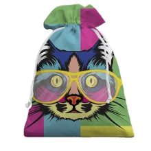 Подарунковий мішечок з арт-котом в окулярах