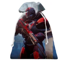 Подарочный мешочек Destiny 2.