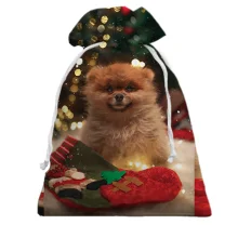 Подарочный мешочек New Year dog 4