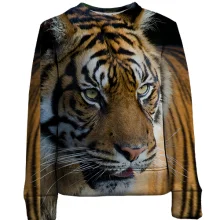 Дитячий 3D світшот Big Tiger