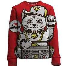 Детский 3D свитшот Hip hop cat