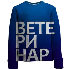 Детский 3D свитшот ВЕТЕРИНАР
