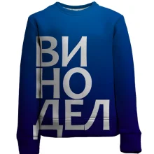 Дитячий 3D світшот ВИНОРОБ