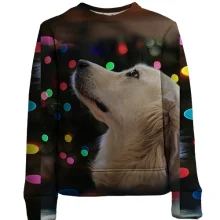 Детский 3D свитшот New year dog