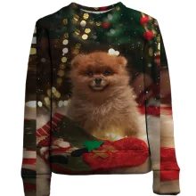 Детский 3D свитшот New Year dog 4