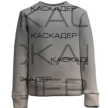 Дитячий 3D світшот для каскадера