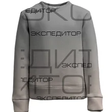 Дитячий 3D світшот для експедитора