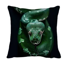 3D подушка Зеленая змея