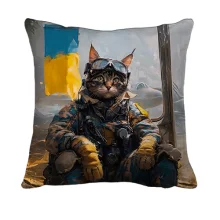 3D подушка Кот военный