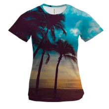 Жіноча 3D футболка Palm trees and sunset