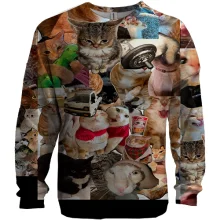 3D свитшот Мемные коты