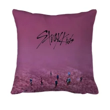 3D подушка Stray Kids (рожеве поле)