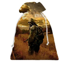 3D Подарочный мешочек S.T.A.L.K.E.R. 2, поле