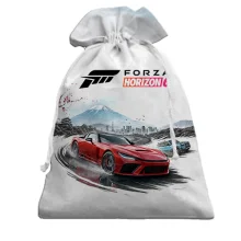 3D Подарунковий мішечок Forza Horizon 6