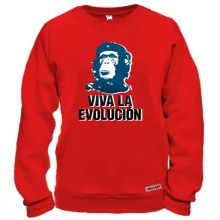 Свитшот с надписью "Viva la Evolution"